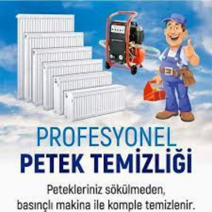 Hizmetler İlaçlı makinalı petek temizliği